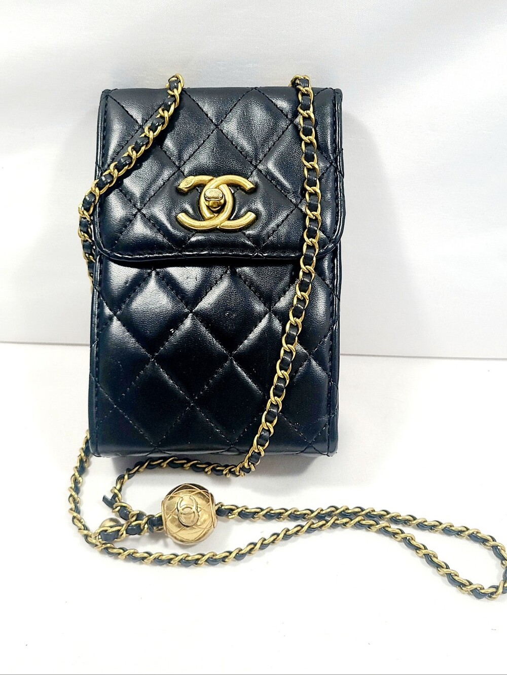 Chanel Canvas Leather Bag